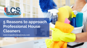 5 Reasons to approach Professional House Cleaners