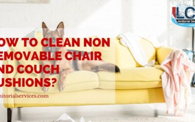 How To Clean Non-Removable Chair And Couch Cushions?