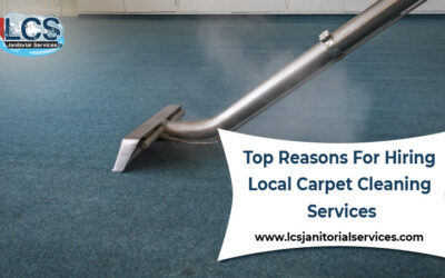 Top Reasons For Hiring Local Carpet Cleaning Services