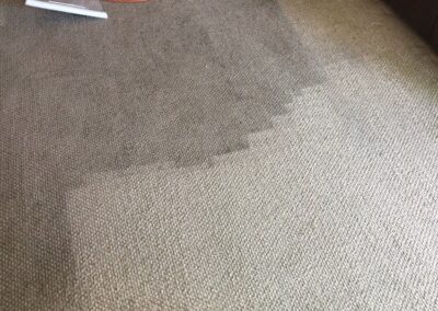 Local Carpet Cleaning Services San Diego