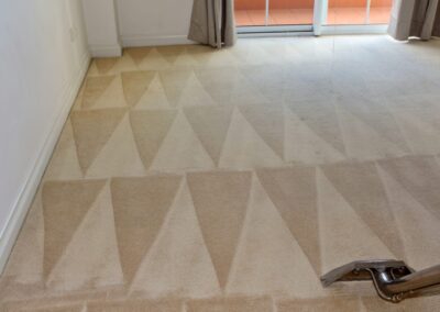 Carpet Cleaning San Diego CA