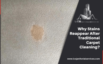 Why Stains Reappear After Traditional Carpet Cleaning?