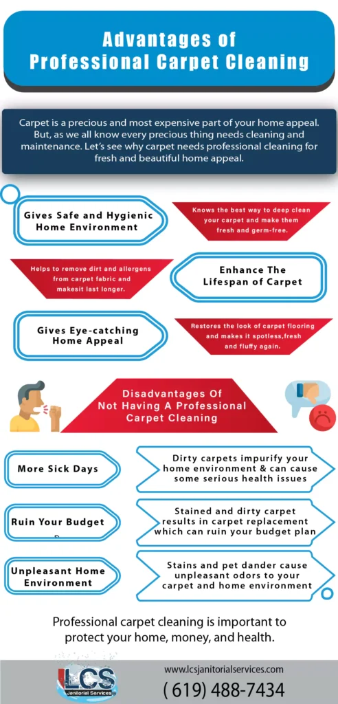 Reason Why Is Professional Carpet Cleaning Important? [Infographic]